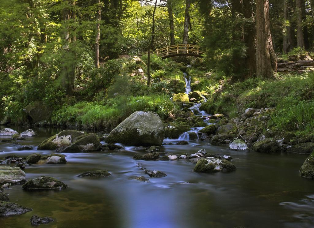 Ballyteige Lodge Ballyteige Bridge エクステリア 写真