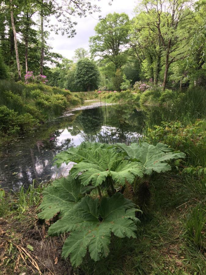 Ballyteige Lodge Ballyteige Bridge エクステリア 写真