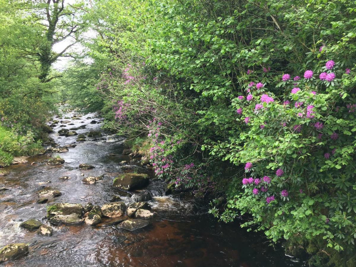 Ballyteige Lodge Ballyteige Bridge エクステリア 写真